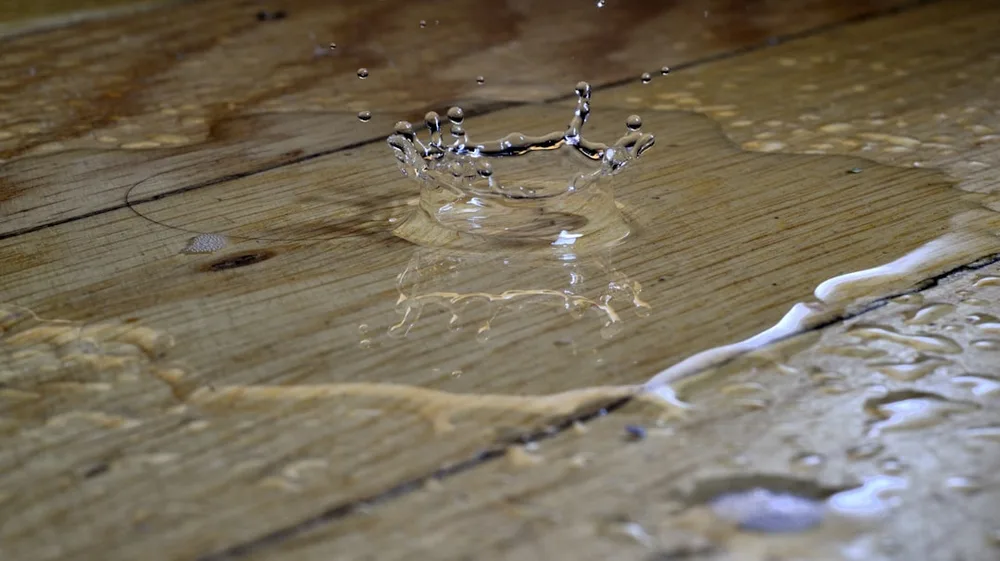 Daños por agua en el seguro de hogar