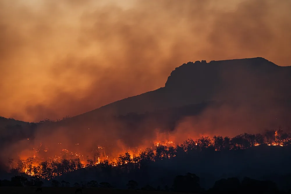 Incendios forestales: qué cubre tu seguro de hogar en la Costa del Sol